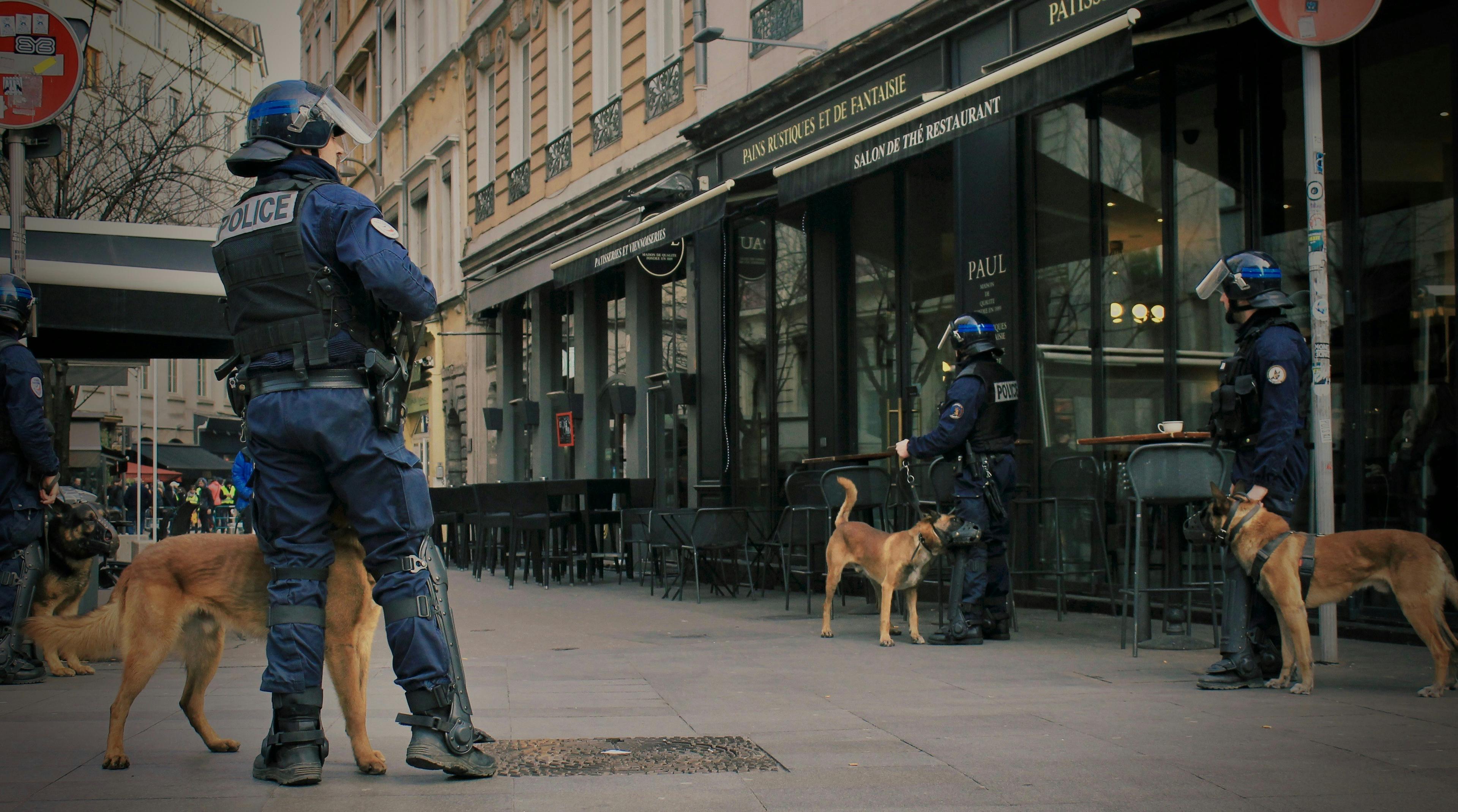 DOG UNIT SERVICES